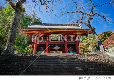 秋の妙義山 総門　群馬県富岡市 130295526