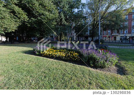 A vibrant floral display in a sunny city park 130298836
