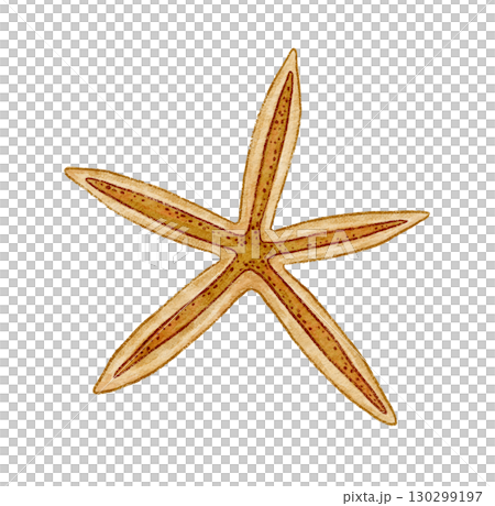 Beige five pointed starfish hand drawn in watercolor and colored pencil. Marine illustration in sandy and beige tones. Great for summer design print and card. Perfect for coastal art and decoration. Beige five pointed starfish hand drawn in watercolor and colored pencil. Marine illustration in sandy and beige tones. Great for summer design print and card. Perfect for coastal art and decoration. 130299197
