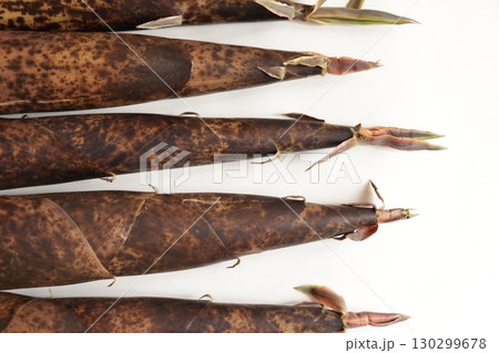 破竹の写真 130299678