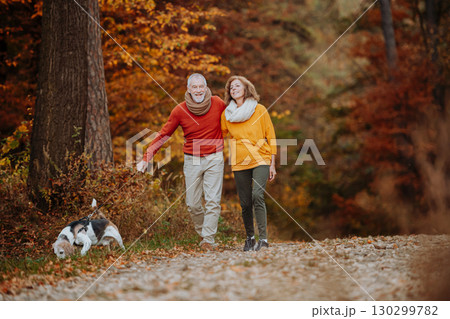 Senior couple walking dog in autumn forest. 130299782