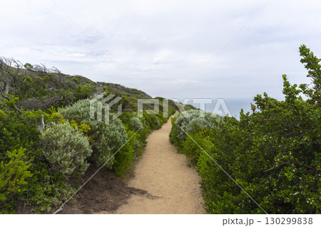 Cape Schanck is the southernmost tip of the Mornington Peninsula, Melbourne, Victoria, Australia. 130299838