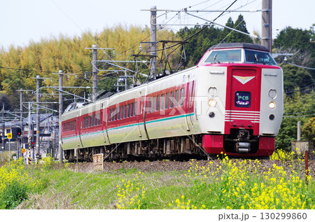 黄色い菜の花が満開の山陰本線を381系やくも号（ゆったりやくも）が駆け抜ける光景 130299860