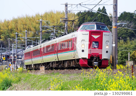 黄色い菜の花が満開の山陰本線を381系やくも号(ゆったりやくも)が駆け抜ける光景 黄色い菜の花が満開の山陰本線を381系やくも号(ゆったりやくも)が駆け抜ける光景 130299861