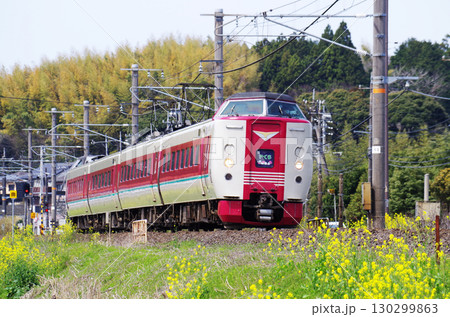 黄色い菜の花が満開の山陰本線を381系やくも号(ゆったりやくも)が駆け抜ける光景 黄色い菜の花が満開の山陰本線を381系やくも号(ゆったりやくも)が駆け抜ける光景 130299863