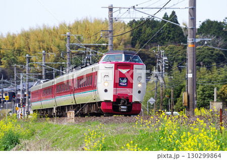 黄色い菜の花が満開の山陰本線を381系やくも号（ゆったりやくも）が駆け抜ける光景 130299864