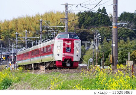 黄色い菜の花が満開の山陰本線を381系やくも号(ゆったりやくも)が駆け抜ける光景 黄色い菜の花が満開の山陰本線を381系やくも号(ゆったりやくも)が駆け抜ける光景 130299865