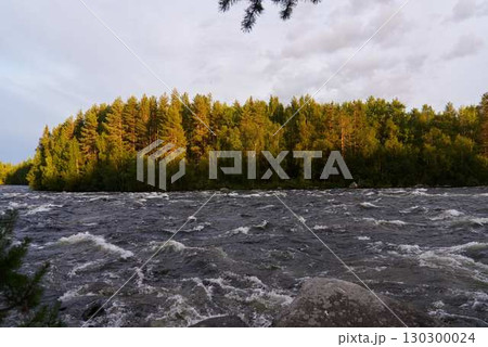 A Picturesque River Surrounded by a Gorgeous Lush Forest Background, Ideal for Outdoor Adventure 130300024