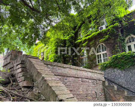 Ivy growing on old brick building with arched windows and stair. Heritage architecture and concept of green urban integration with cultural identity. 130300080