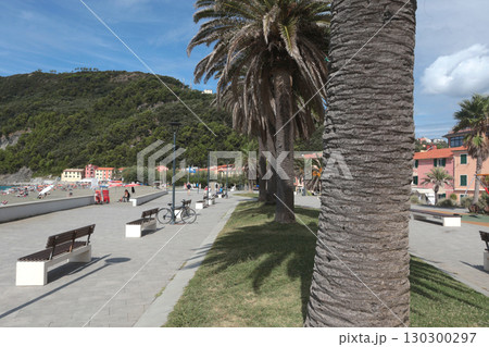 Promenade with palm trees near sea, beach in resort town. Nature and recreation. Sunny day and clear sky. Ecologically clean nature. 130300297