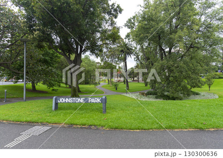 Lush green tree in Johnstone Park in Geelong, Australia. Lush green tree in Johnstone Park in Geelong, Australia. 130300636