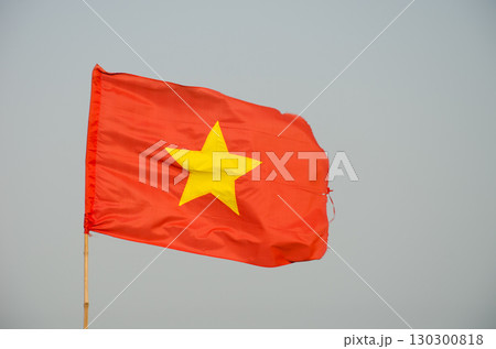 Flag of Vietnam. Flag of Vietnam. 130300818