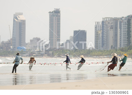Seining in My Khe beach. Seining in My Khe beach. 130300901