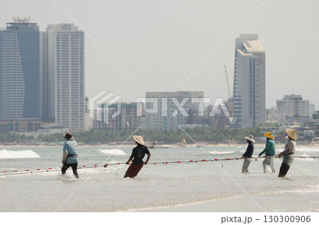 Seining in My Khe beach. Seining in My Khe beach. 130300906