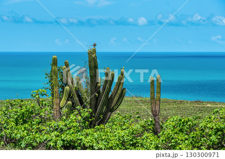 Serrote de Jericoacoara trail along the coast and beaches from Jericoacoara to Pedra Furada in Ceara State of Brazil Serrote de Jericoacoara trail along the coast and beaches from Jericoacoara to Pedra Furada in Ceara State of Brazil 130300971