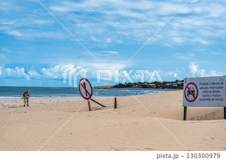 Jericoacoara beach hidden behind the dunes of the west coast of Jijoca de Jericoacoara, Ceara, Brazil 130300979