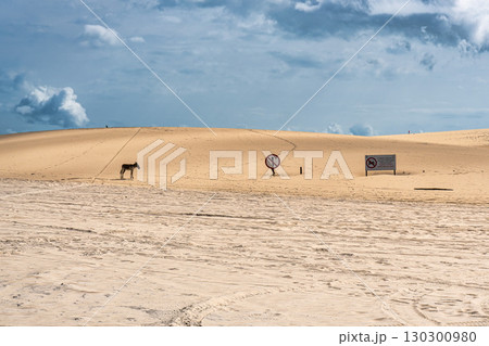 Jericoacoara beach hidden behind the dunes of the west coast of Jijoca de Jericoacoara, Ceara, Brazil 130300980