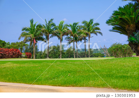 爽やかな南国の青空と南風に揺れるヤシの木が映えるリゾートのゴルフ場とグリーンの旗(沖縄県宮古島市) 爽やかな南国の青空と南風に揺れるヤシの木が映えるリゾートのゴルフ場とグリーンの旗(沖縄県宮古島市) 130301953