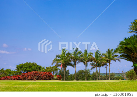 爽やかな南国の青空と南風に揺れるヤシの木が映えるリゾートのゴルフ場とグリーンの旗（沖縄県宮古島市） 130301955