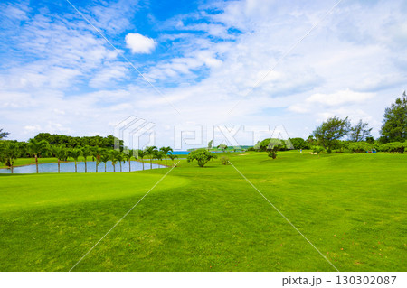 爽やかな南国の青空と青い海・ヤシの木が映えるリゾートのゴルフ場とグリーンの旗（沖縄県宮古島市） 130302087