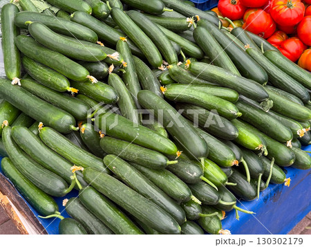 Fresh cucumbers displayed in large pile on outdoor market. Agriculture, farming, and seasonal vegetable harvest with nutrition and healthy food. 130302179