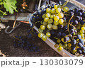 Heap of ripe grape in white basket on wooden bench. Autumn harvest. Autumn fruits. Bunch of juicy black and white grape in sunlight. Autumn agriculture. September nature. Healthy organic grapes. 130303079