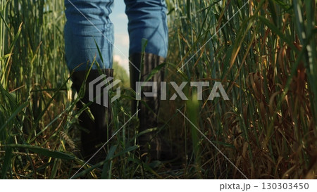 Farmer walking in the field, Boots in tall grass, Exploring wheat crops, Rural lifestyle moments, Close up boots on farmland, Agricultural worker on duty, Working on a sunny day, Nature and farming Farmer walking in the field, Boots in tall grass, Exploring wheat crops, Rural lifestyle moments, Close up boots on farmland, Agricultural worker on duty, Working on a sunny day, Nature and farming 130303450