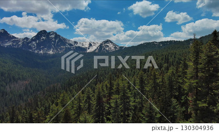 Rocky mountains in snow and green fir forest 130304936