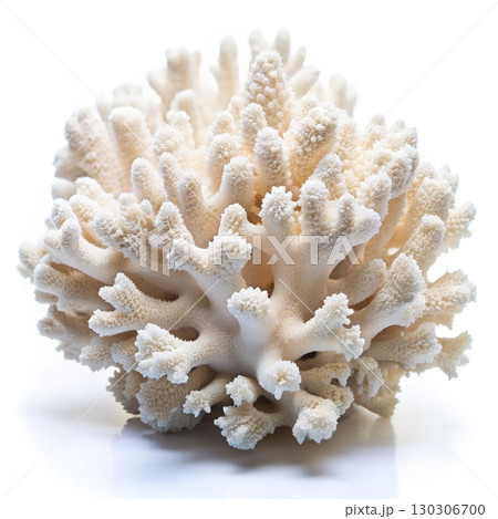 Close Up of White Coral on White Background. Generative AI 130306700