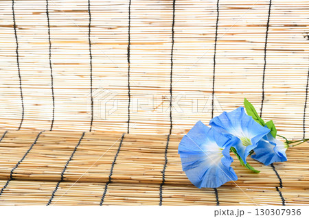 すだれと朝顔 130307936