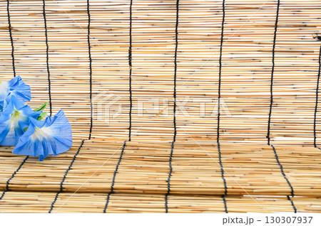 すだれと朝顔 すだれと朝顔 130307937