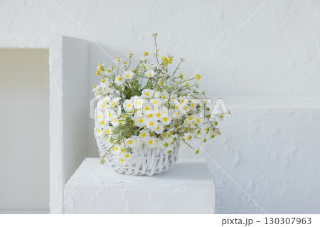 白いテーブルに置かれた多肉植物 白いテーブルに置かれた多肉植物 130307963