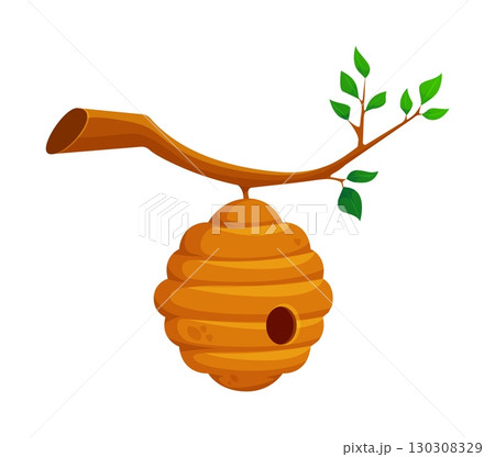 Cartoon bee hive on tree branch for honey bee house or home, vector wild beehive. Wild hive hanging on tree branch for bumblebee or wasp dwelling nest house and kids fairy tale illustration 130308329