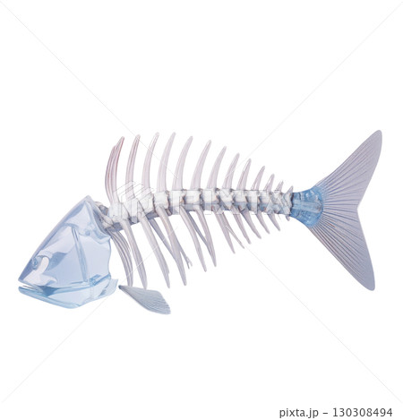 ガラスでできた透明感のある魚の骨 130308494