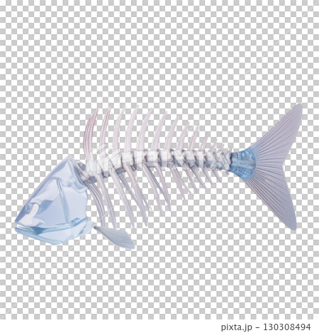 ガラスでできた透明感のある魚の骨 130308494