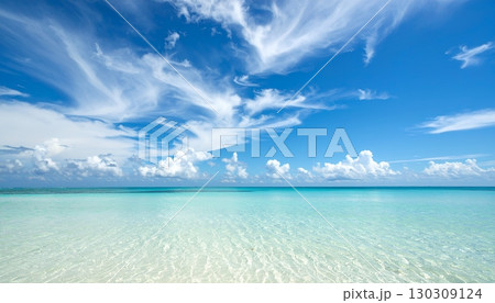 透明な浅瀬が広がる南国の青い海と夏空の絶景 130309124