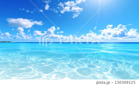 南国の楽園ビーチ｜透明な海と青空が広がる癒しの風景 130309125