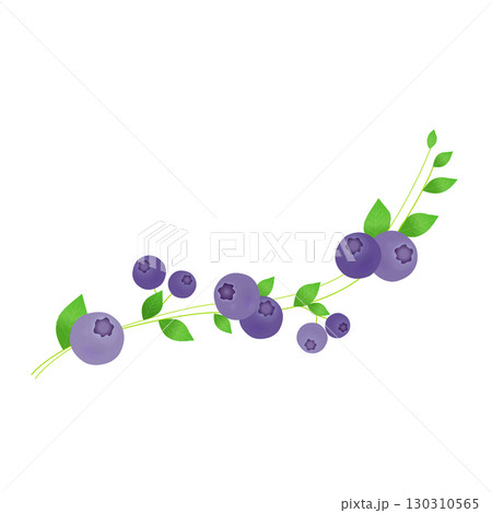 流れるブルーベリーのライン素材 流れるブルーベリーのライン素材 130310565