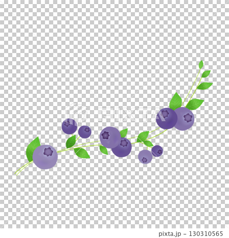 流動的藍莓線條素材 130310565