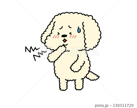 風邪かな?喉が痛いプードルさん 風邪かな?喉が痛いプードルさん 130311720