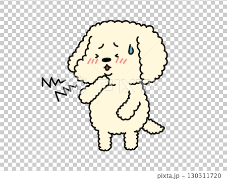 風邪かな?喉が痛いプードルさん 風邪かな?喉が痛いプードルさん 130311720