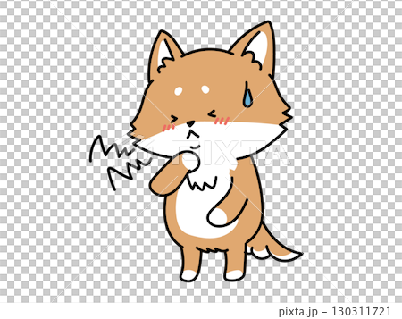 風邪かな?喉が痛い柴犬さん 風邪かな?喉が痛い柴犬さん 130311721