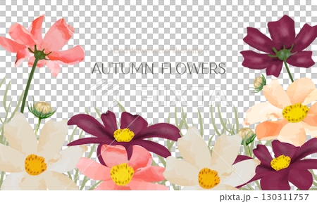 Cosmos frame painted in watercolor 130311757