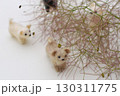 スモークツリーの花穂に集まるフェルトの子犬　 130311775