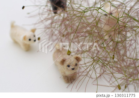 スモークツリーの花穂に集まるフェルトの子犬　 130311775