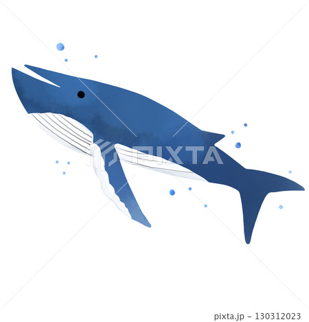 泳ぐクジラと水滴の水彩風イラスト 130312023