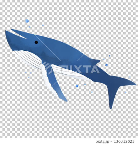 泳ぐクジラと水滴の水彩風イラスト 130312023