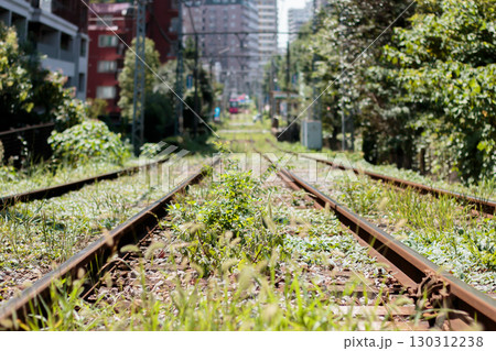 草の生えた電車の路線 草の生えた電車の路線 130312238