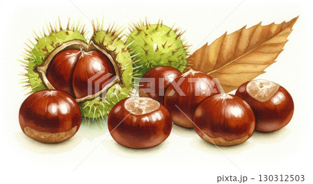 栗の水彩画イラスト 130312503