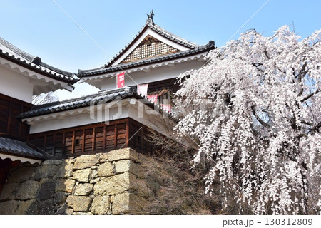 長野県上田市 上田城跡公園の北櫓と東虎口櫓門と満開桜 長野県上田市 上田城跡公園の北櫓と東虎口櫓門と満開桜 130312809